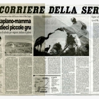 Corriere-della-Sera-3-agosto-2002-articolo