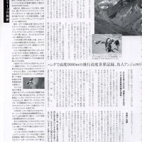 PARA-world-articolo-agosto-2006-pag-