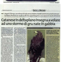 il-giornale-di-sicilia-20-luglio-