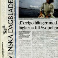 svenska-dagbladet-agosto-